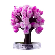 Magiczne drzewko Sakura