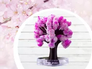 Magiczne drzewko Sakura