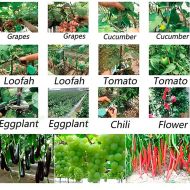 Profesjonalny zszywacz do roślin – PLANTBRAND