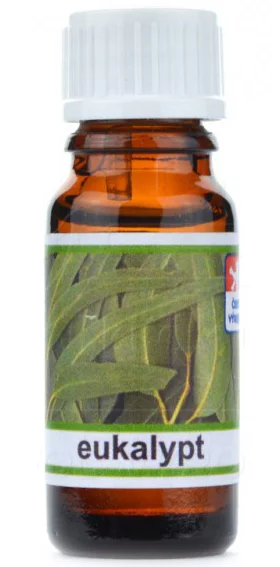 Olejek zapachowy 10 ml - Eukaliptus - Michal