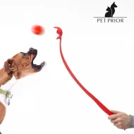 Rzutka z piłką dla psów Pet Prior