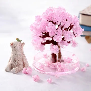 Magiczne drzewko Sakura