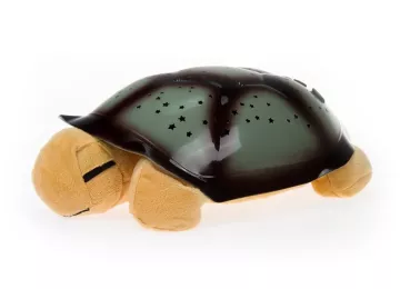 Magiczny żółw (grający) brązowy